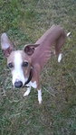 2010052817390000.jpg