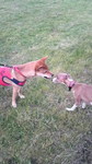 2010052817470001.jpg