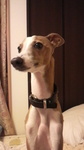 2010052620350000.jpg
