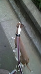 2010061018220000.jpg