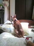 2010061014070000.jpg