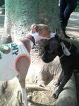 2010061215320000.jpg