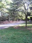 2010061215450000.jpg