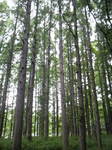 2010061314350001.jpg