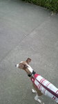 2010061314320001.jpg