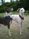 2010061314490000.jpg