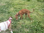2010061321350000.jpg