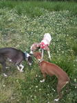 2010061315040000.jpg