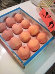 2010062222250001.jpg