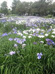 2010062017340000.jpg