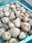 2010061717160000.jpg