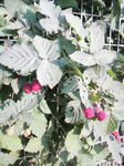 2010061717150000.jpg