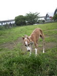 2010062714020001.jpg