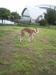 2010062714100000.jpg