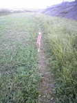 2010063017540000.jpg