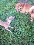 2010063017560001.jpg