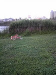 2010063017560000.jpg