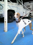 2010070113570001.jpg