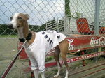 2010070114010000.jpg