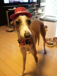 2010080613180000.jpg