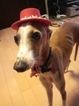 2010080613190000.jpg
