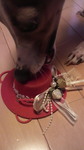 2010080613220000.jpg