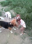 2010080817290000.jpg
