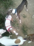 2010080817310001.jpg