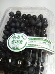 2010081118550001.jpg