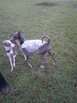 2010082218130000.jpg
