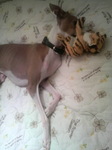 2010082418440000.jpg