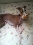 2010082418450001.jpg