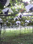 2010082608010000.jpg