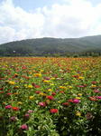 2010082609460000.jpg