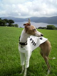 2010082614330000.jpg