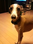 2010091813140001.jpg