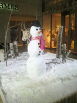 2010122417460000.jpg